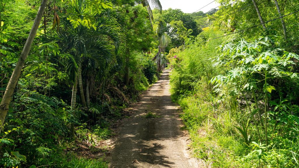 Foto 20: Hilltop Villa Bougainville - Mahé (Seychellen)