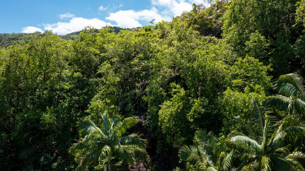 Foto 29: Hilltop Villa Bougainville - Mahé (Seychellen)