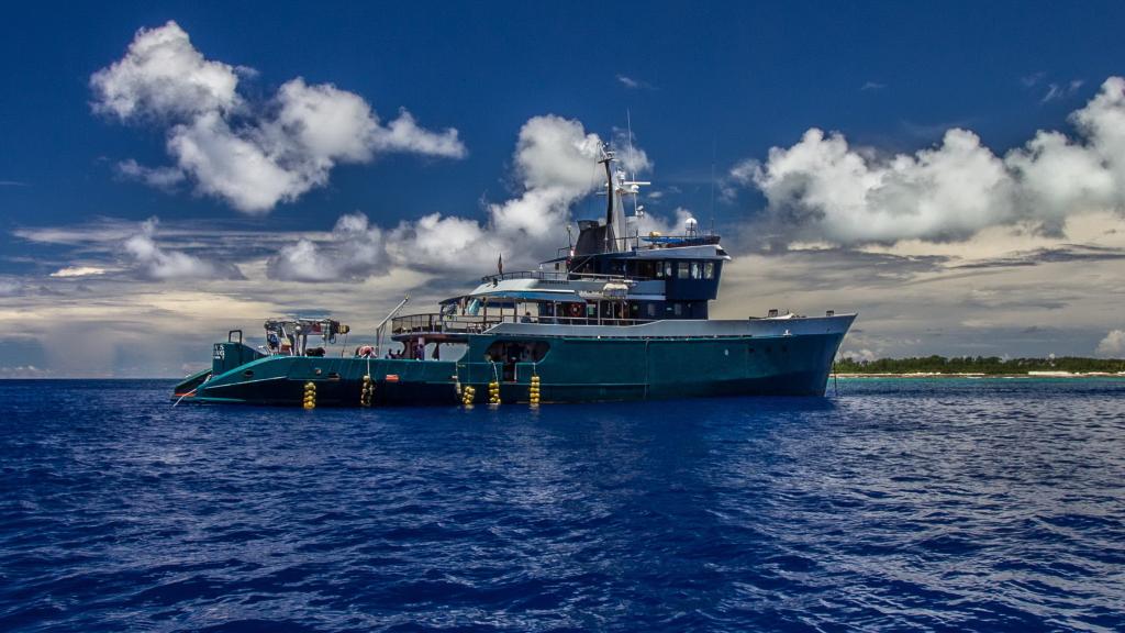 Foto 18: Silhouette Whales and Dolphins Expedition - Seychelles (Seychelles)