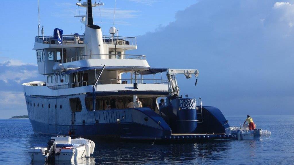 Foto 14: Silhouette Whales and Dolphins Expedition - Seychelles (Seychelles)