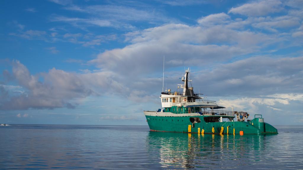 Photo 19: Silhouette Whales and Dolphins Expedition - Seychelles (Seychelles)