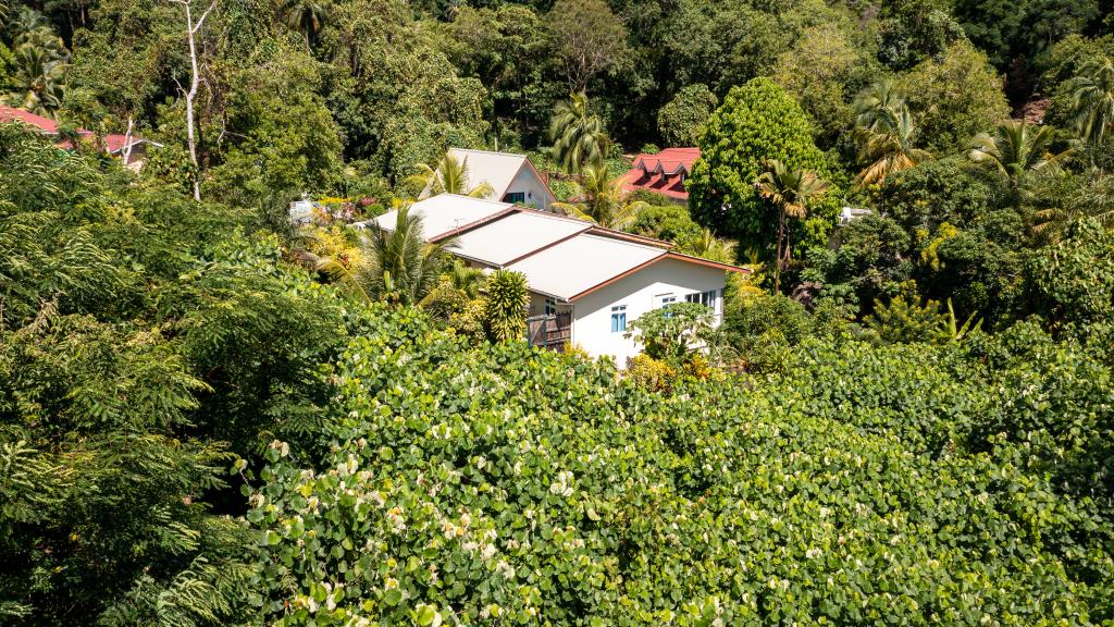 Foto 21: Milles Montagnes Residence - Mahé (Seychelles)