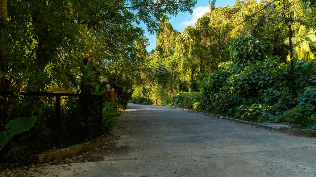 Photo 35: Milles Montagnes Residence - Mahé (Seychelles)