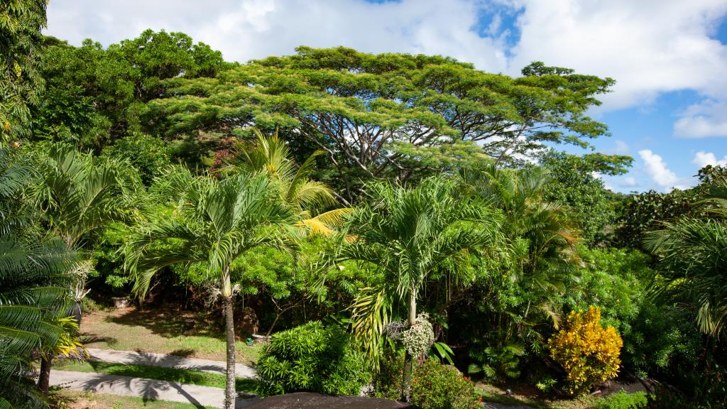 Foto 20: Jardin Marron - Praslin (Seychelles)