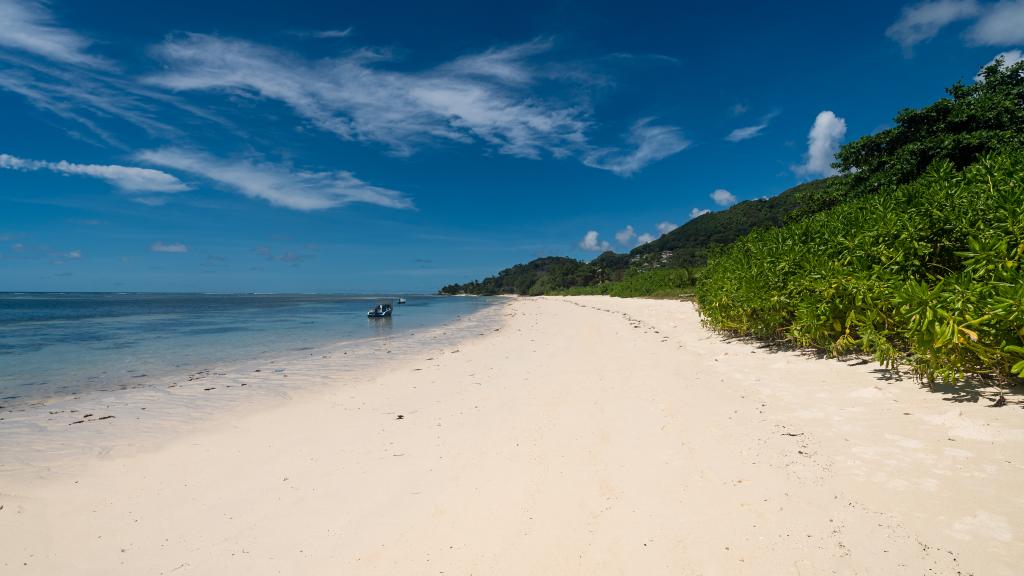 Photo 29: Erica's Residence Self Catering Apartment - Mahé (Seychelles)