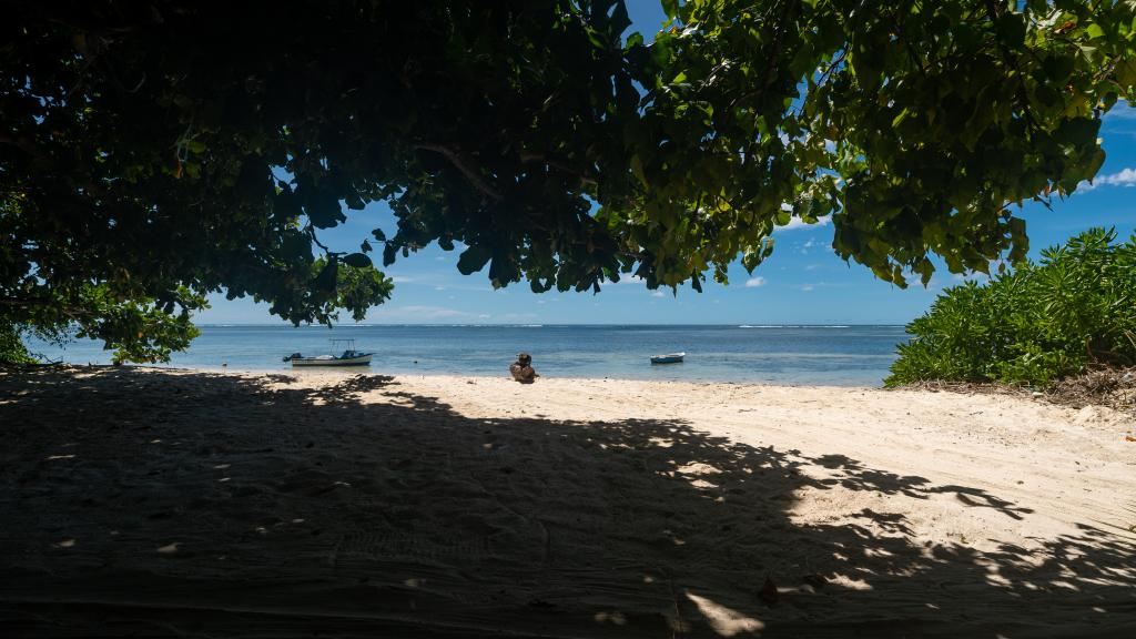 Photo 26: Erica's Residence Self Catering Apartment - Mahé (Seychelles)