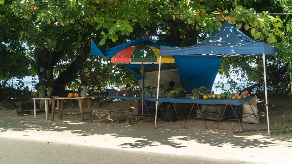 Photo 25: Erica's Residence Self Catering Apartment - Mahé (Seychelles)