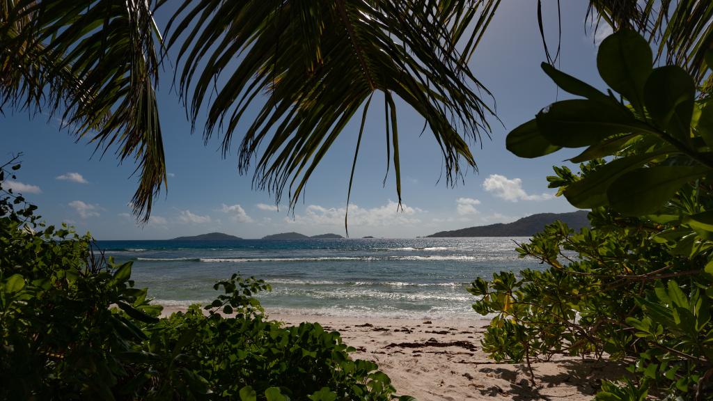 Photo 24: Lakaz An Bwa - La Digue (Seychelles)