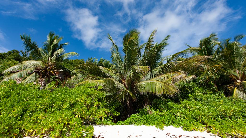 Photo 22: Lakaz An Bwa - La Digue (Seychelles)