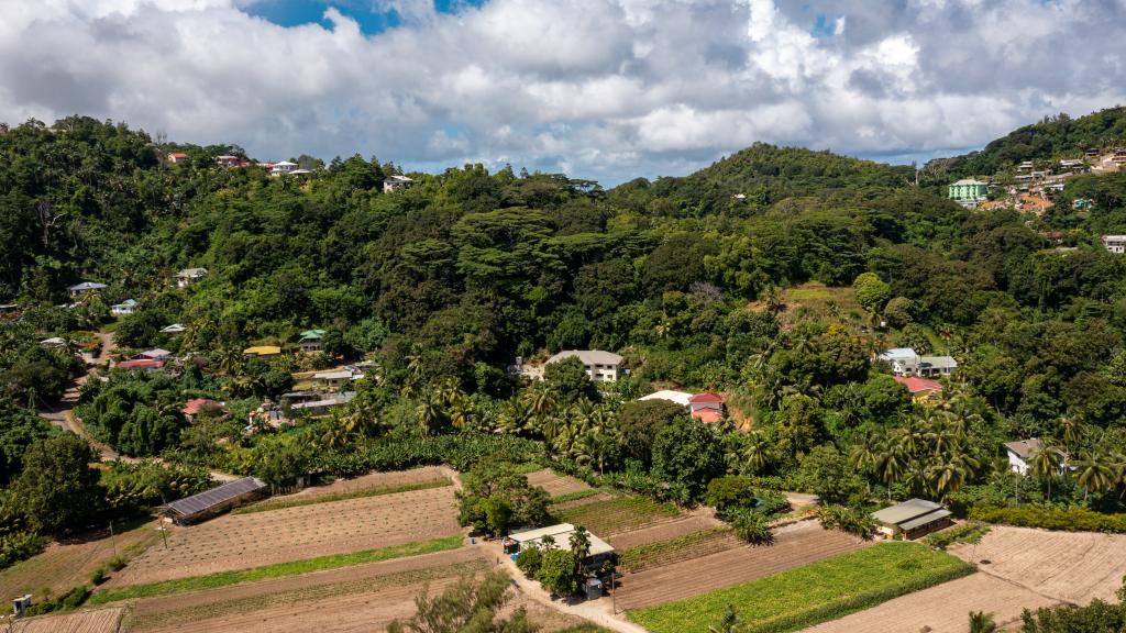 Foto 17: Paul's Residence - Mahé (Seychelles)