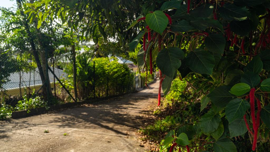 Foto 25: Alha Villa - Mahé (Seychelles)