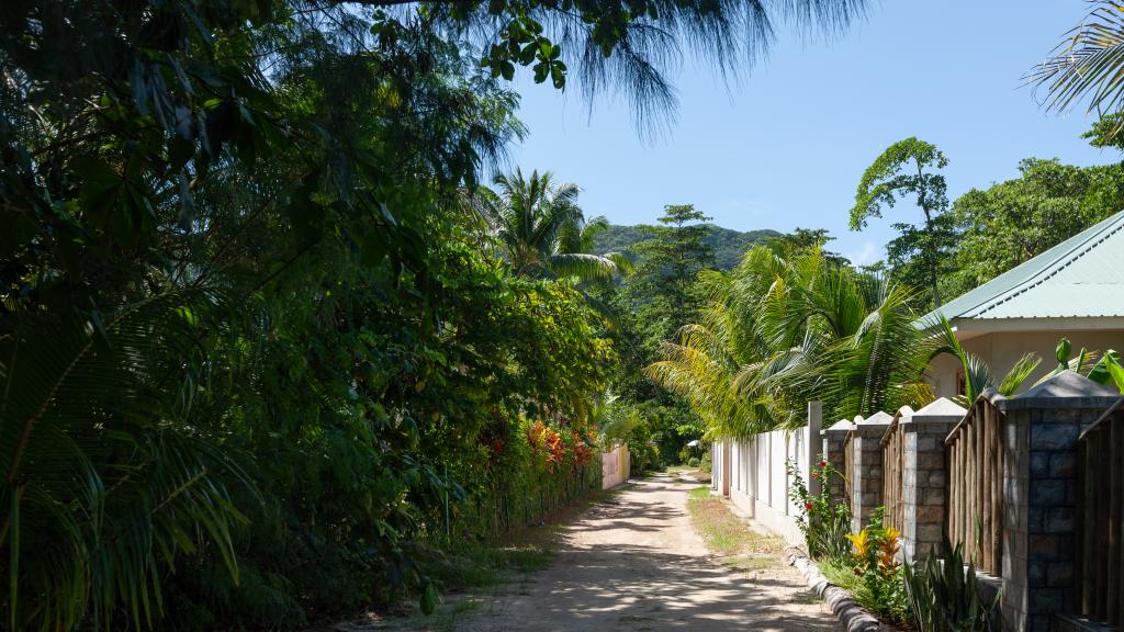 Photo 33: Coco de Mahi - La Digue (Seychelles)