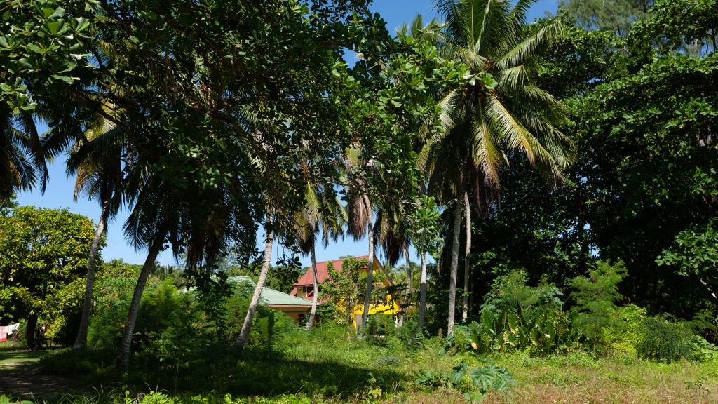 Photo 34: Coco de Mahi - La Digue (Seychelles)