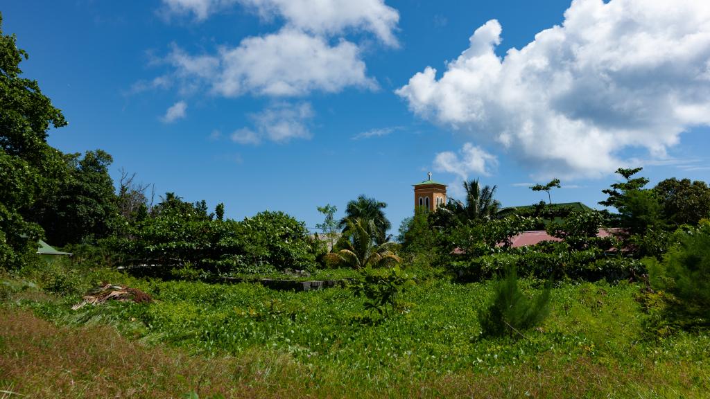 Photo 35: Coco de Mahi - La Digue (Seychelles)