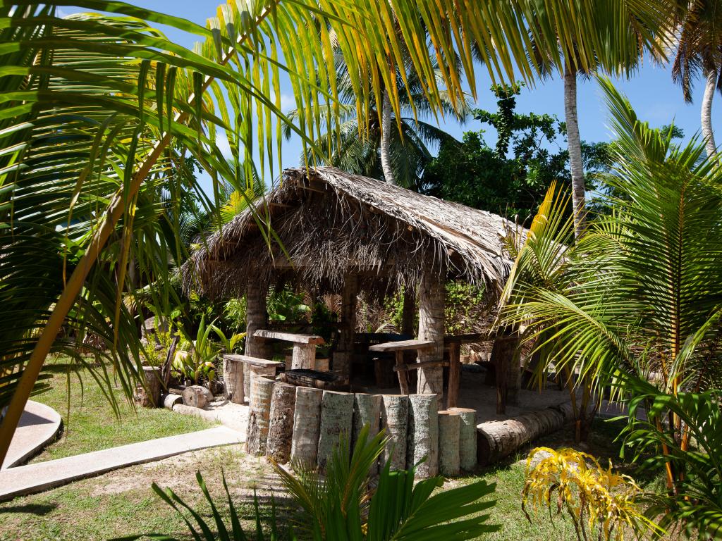 Coco de Mahi - Foto 6