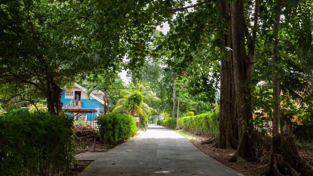 Foto 13: Badamier Self Catering - La Digue (Seychellen)