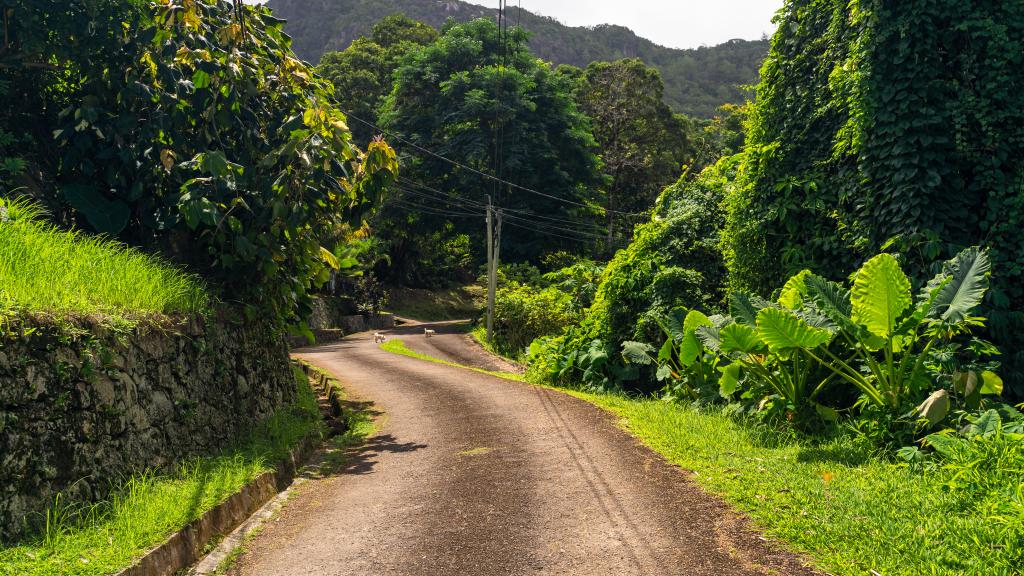 Foto 43: Ogumka Self Catering Beoliere - Mahé (Seychellen)