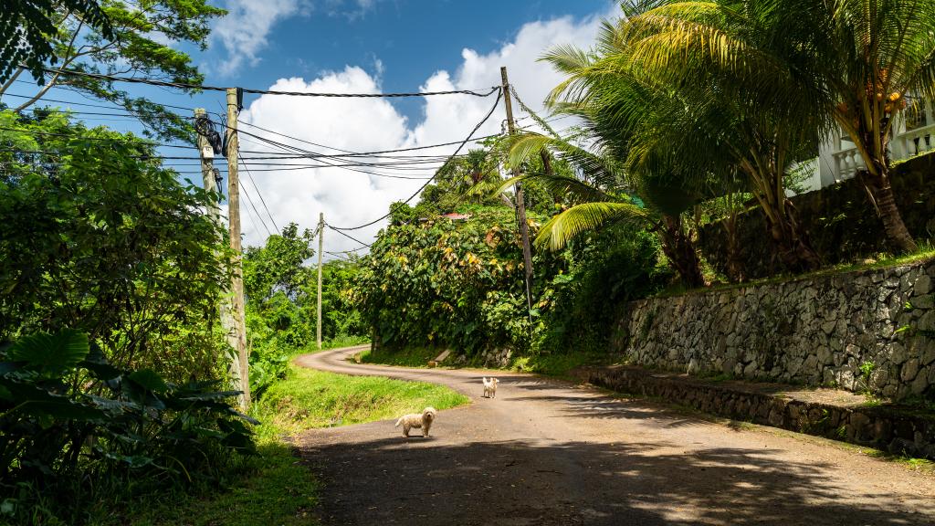 Foto 44: Ogumka Self Catering Beoliere - Mahé (Seychellen)