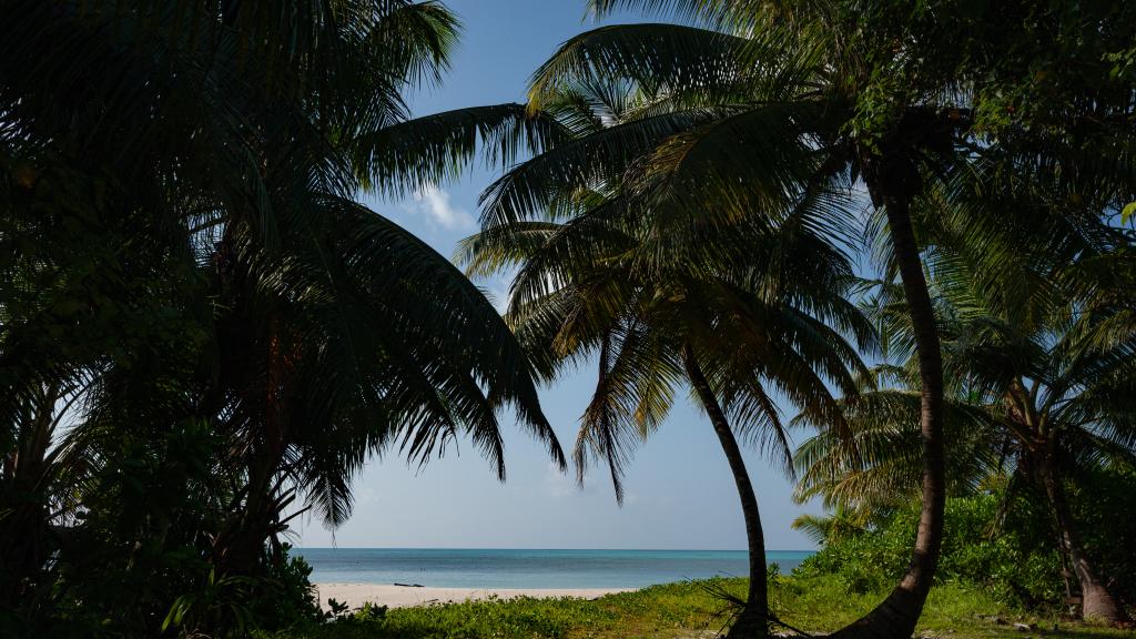 Foto 16: MacMillan's Holiday Villas - Praslin (Seychellen)