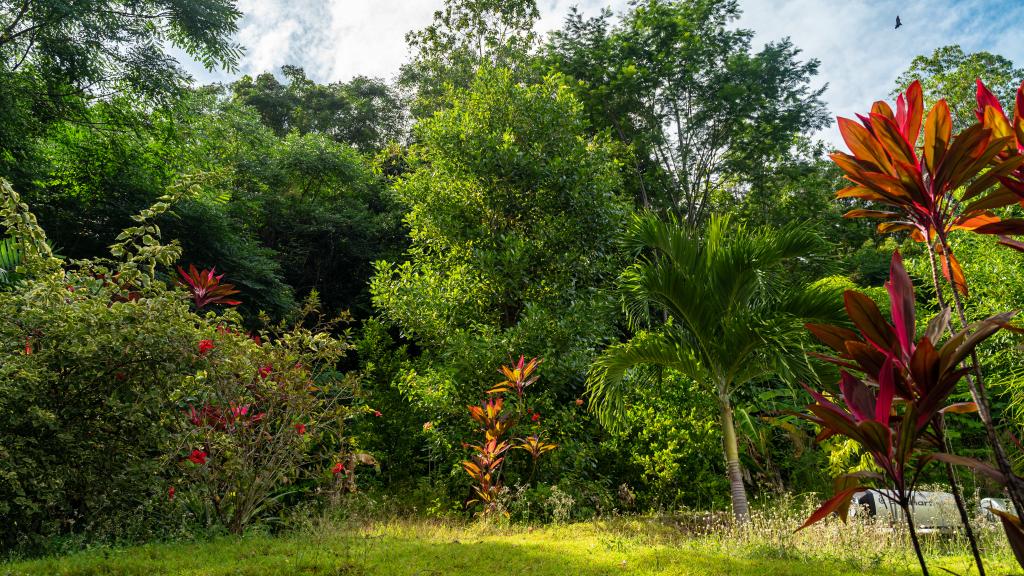 Foto 11: Mouggae Blues Villas - Mahé (Seychelles)