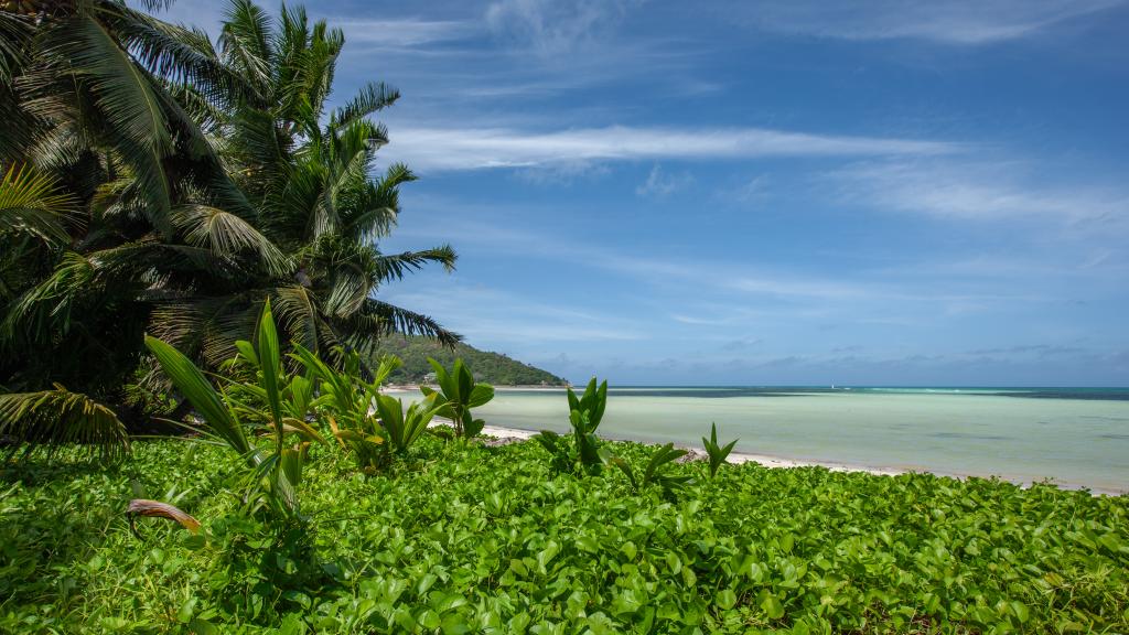 Foto 31: Oasis Hotel, Restaurant & Spa - Praslin (Seychelles)