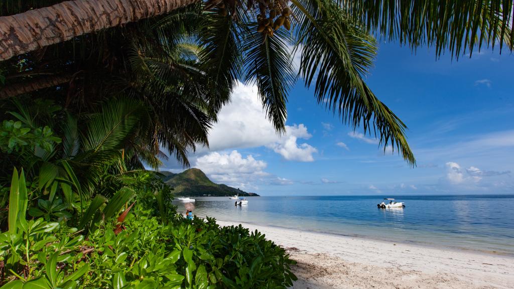 Foto 18: Seashell Beach Villa - Praslin (Seychelles)