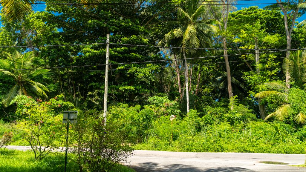 Photo 35: Zeph Self Catering - Mahé (Seychelles)