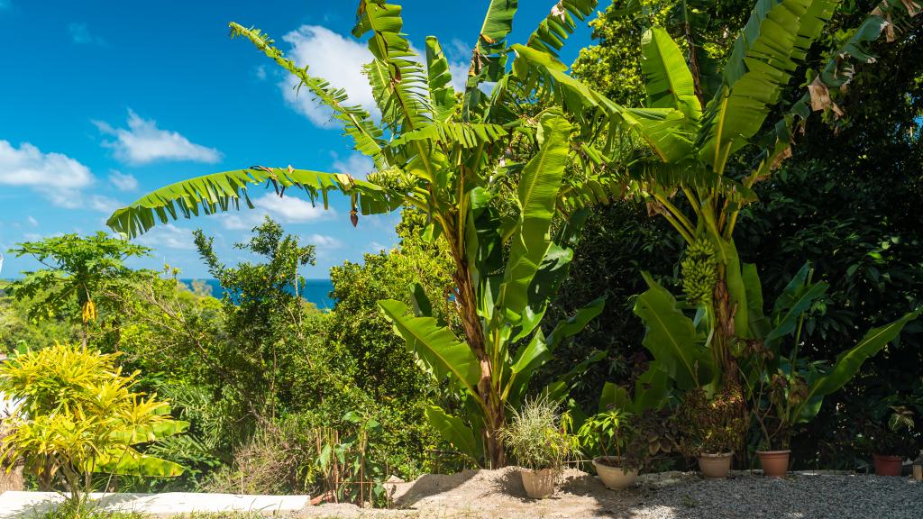 Foto 11: Tandif Villa Sea View - Mahé (Seychelles)