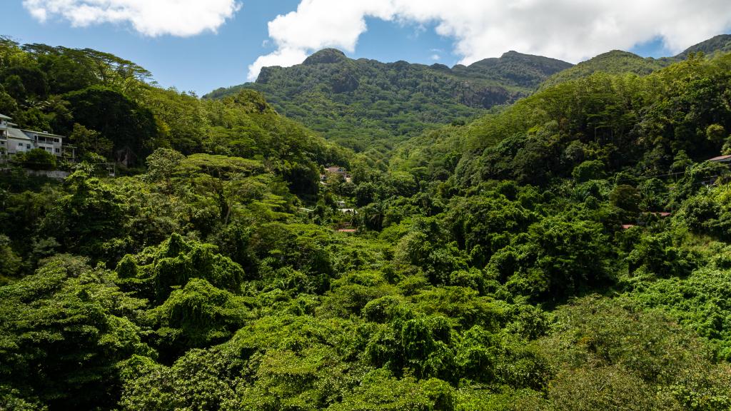 Photo 39: Casuarina Hill Villa - Mahé (Seychelles)