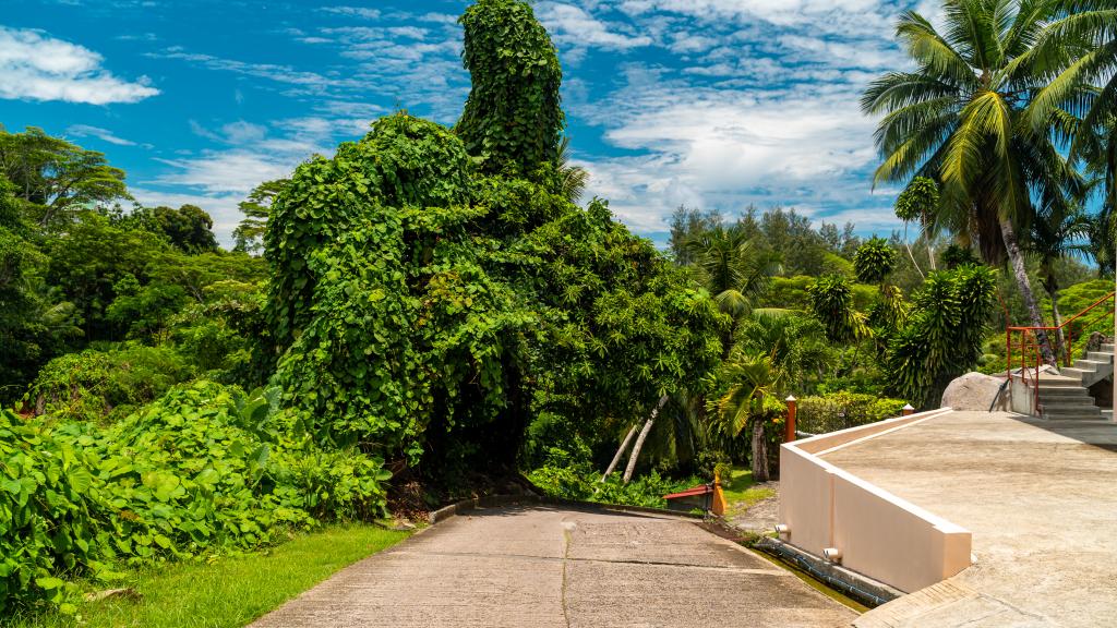 Photo 18: JAIDSS Holiday Apartments - Mahé (Seychelles)