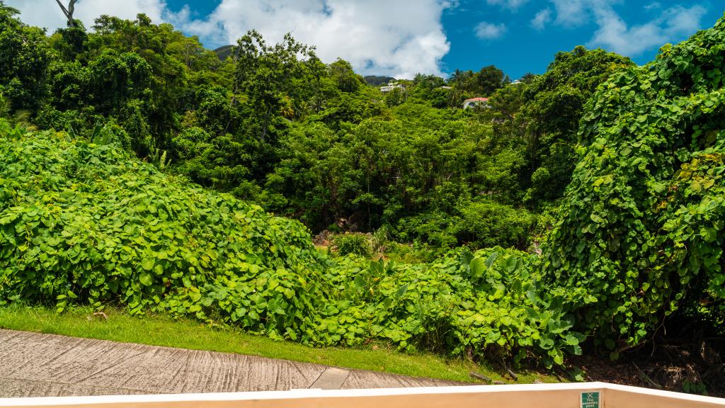 Photo 17: JAIDSS Holiday Apartments - Mahé (Seychelles)