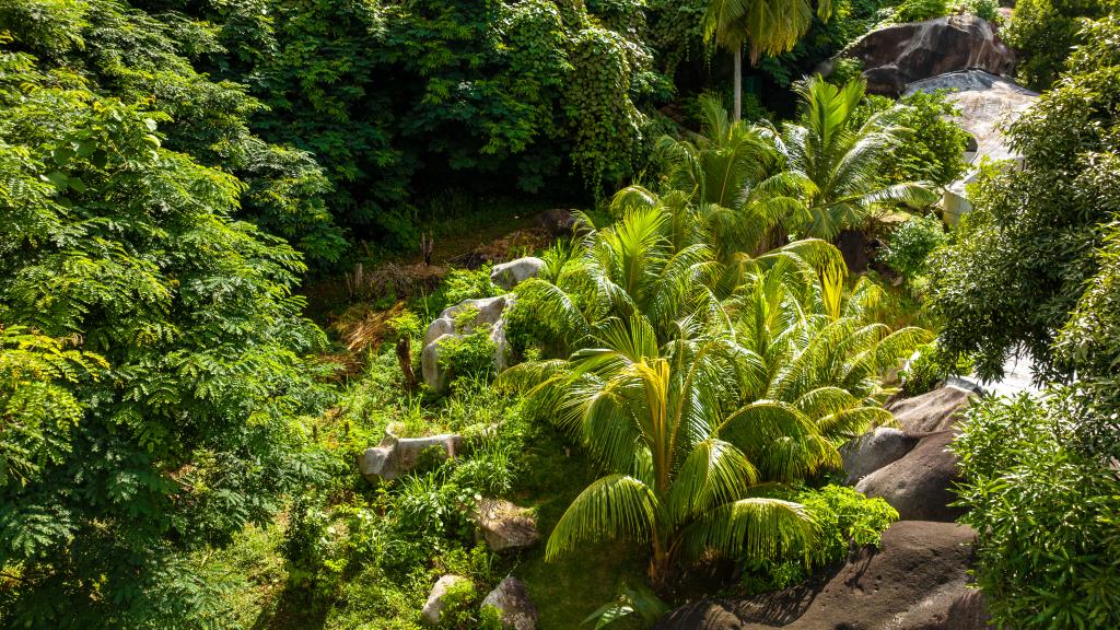 Foto 20: Brown Sugar Lodge - Mahé (Seychelles)