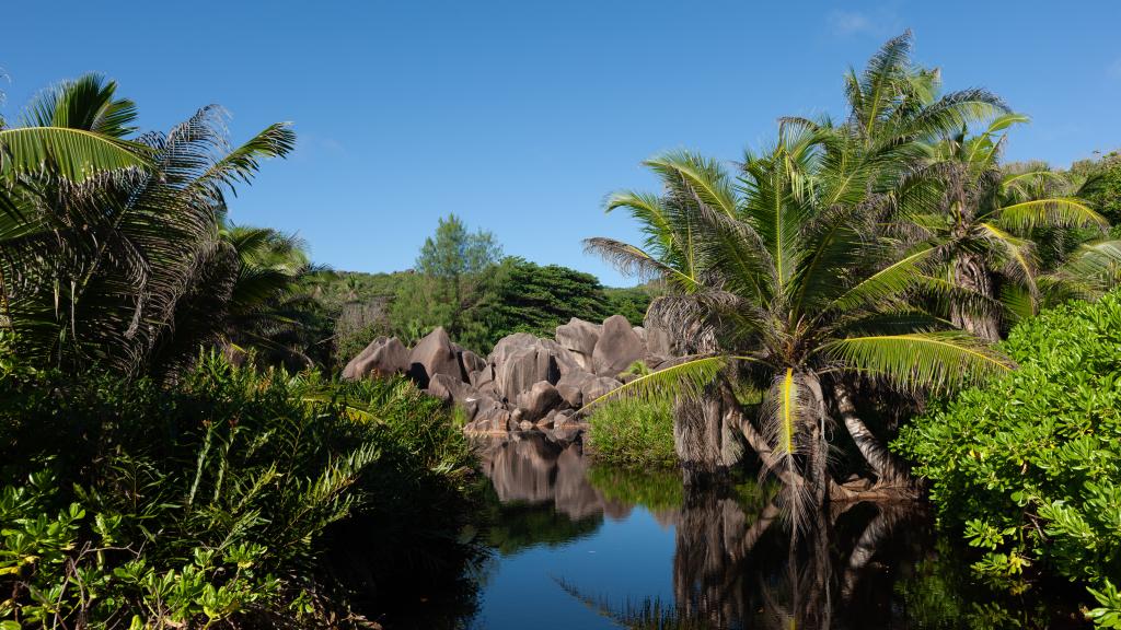 Foto 6: Dan Kazou - La Digue (Seychelles)