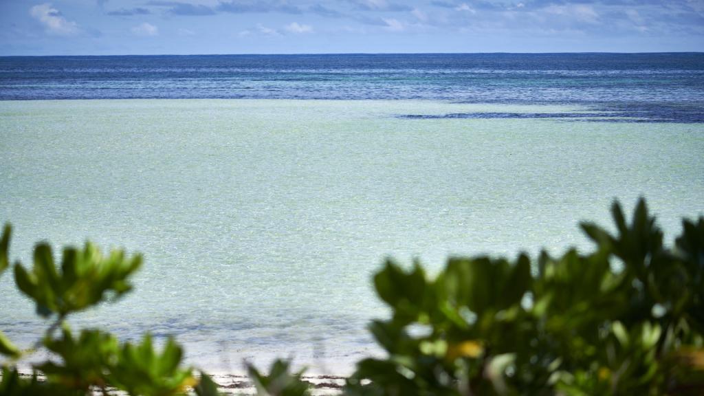 Photo 83: Canopy by Hilton Seychelles - Mahé (Seychelles)