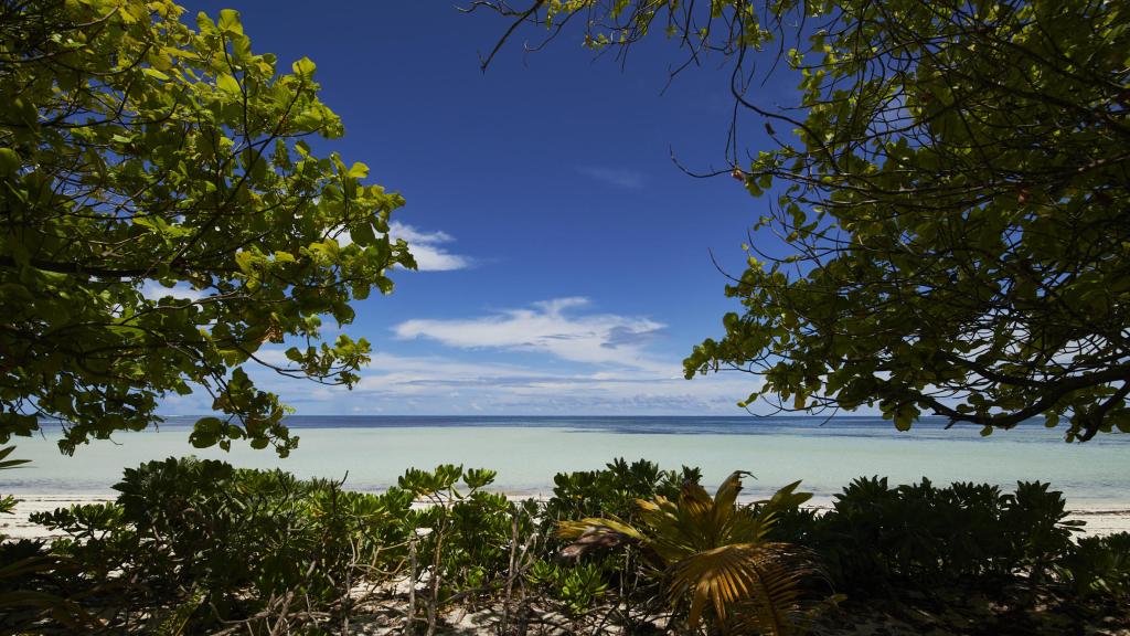 Photo 82: Canopy by Hilton Seychelles - Mahé (Seychelles)