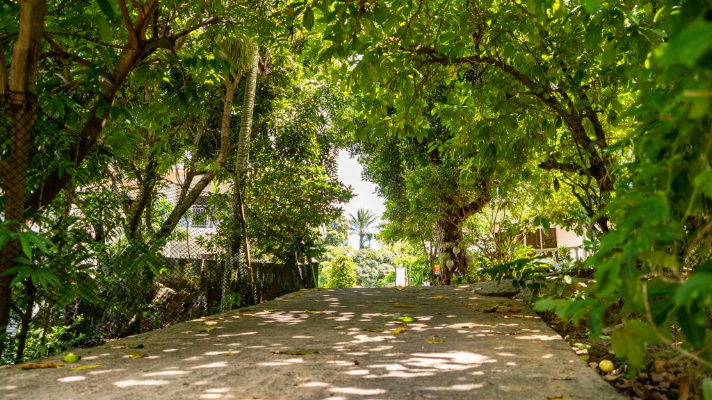 Foto 11: Riverside Residence - Mahé (Seychelles)