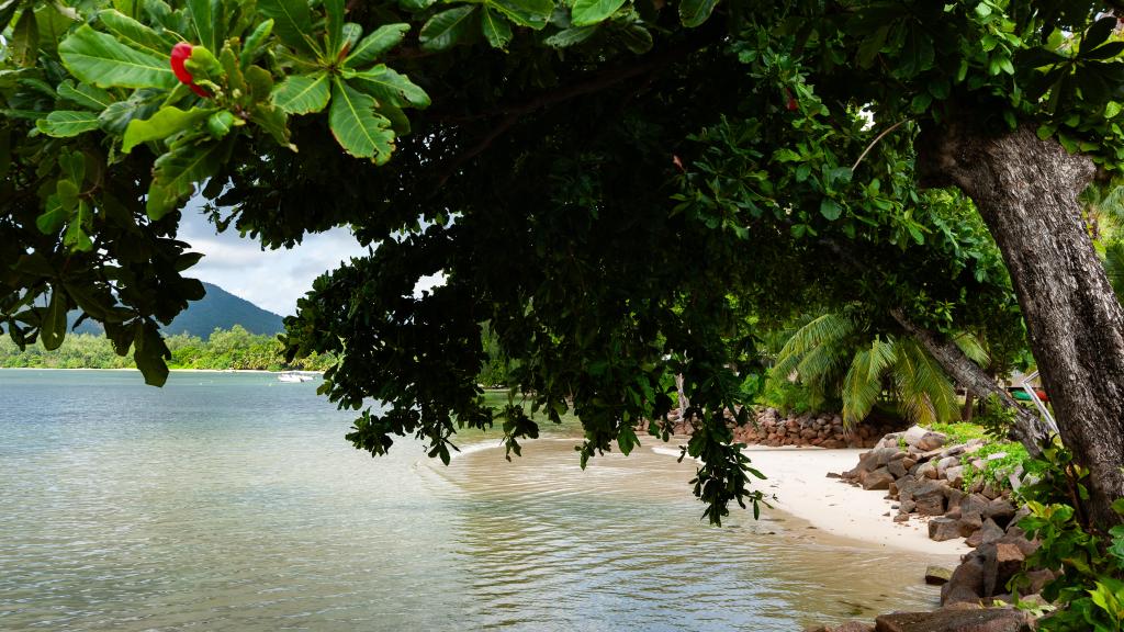 Photo 46: Le Vasseur La Buse Eco Resort - Praslin (Seychelles)