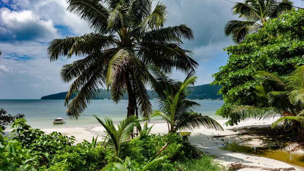 Photo 44: Le Vasseur La Buse Eco Resort - Praslin (Seychelles)