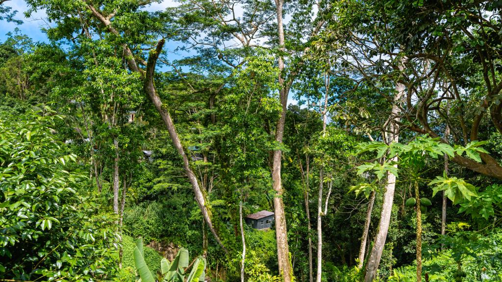 Foto 12: Paradise Breeze Apartments - Mahé (Seychelles)