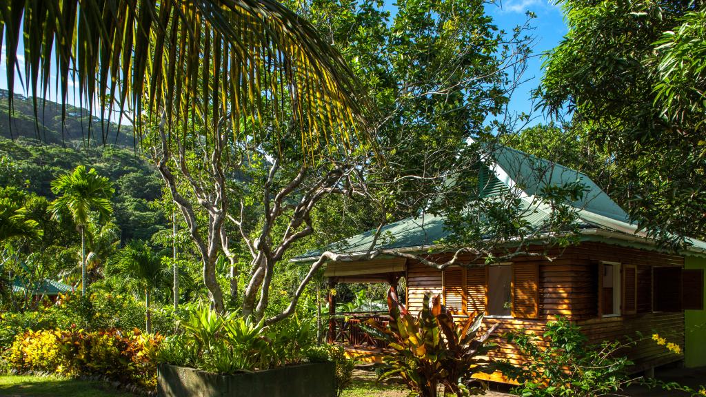 Photo 10: Bois d'Amour - La Digue (Seychelles)