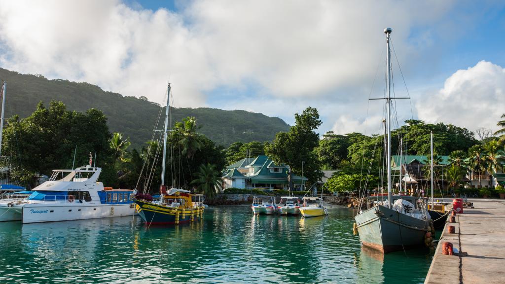 Photo 45: Bois d'Amour - La Digue (Seychelles)