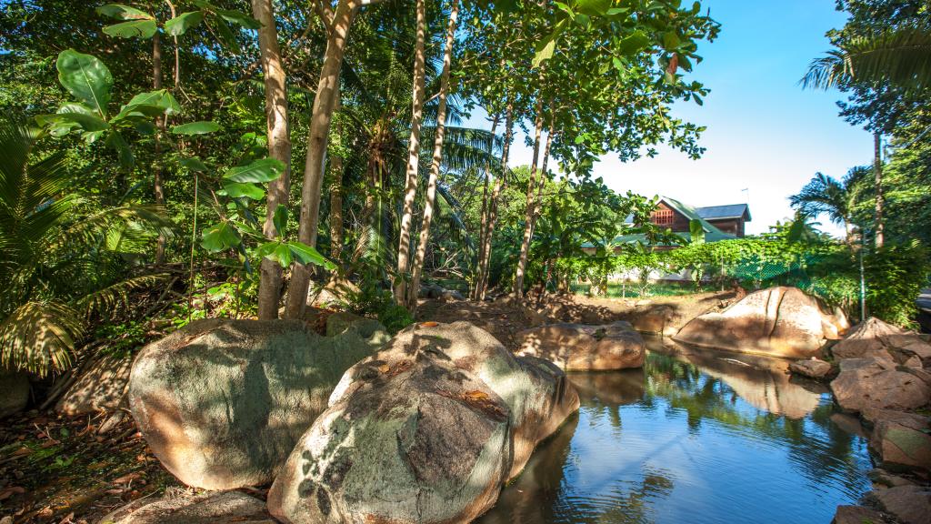 Photo 48: Bois d'Amour - La Digue (Seychelles)