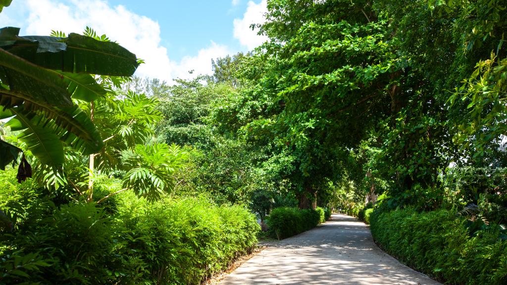 Foto 9: Fern Lodge Self Catering - La Digue (Seychellen)