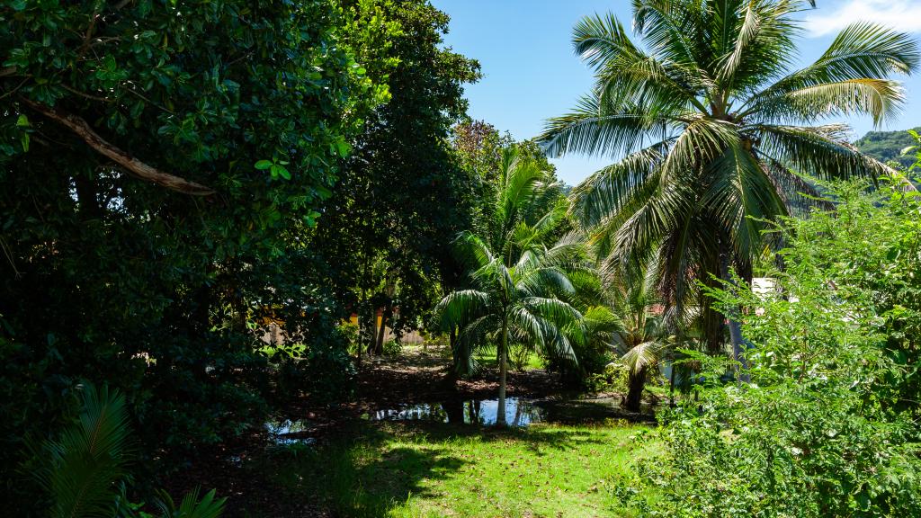 Photo 11: Lucy's Guesthouse - La Digue (Seychelles)