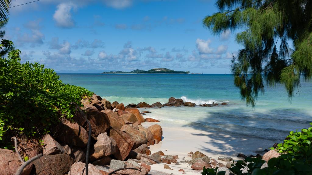 Foto 36: Island Charm of Praslin - Praslin (Seychelles)