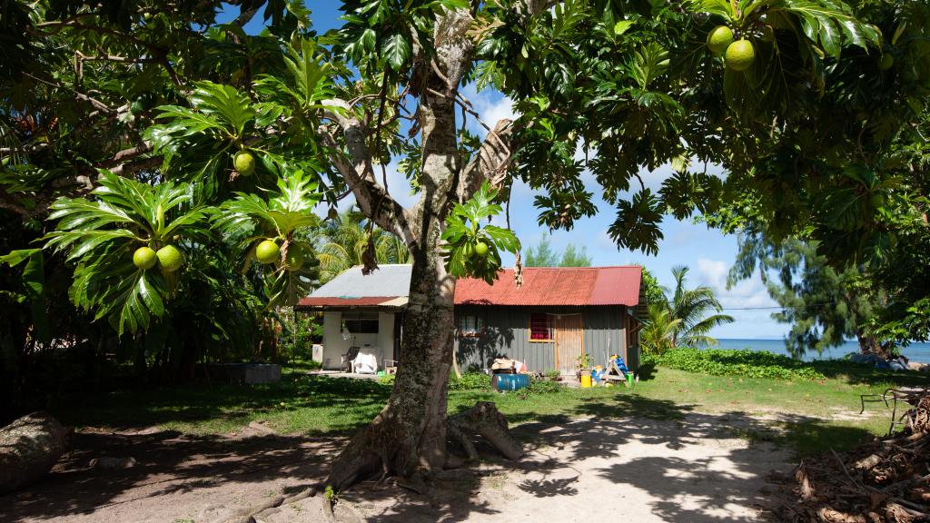 Photo 41: Island Charm of Praslin - Praslin (Seychelles)