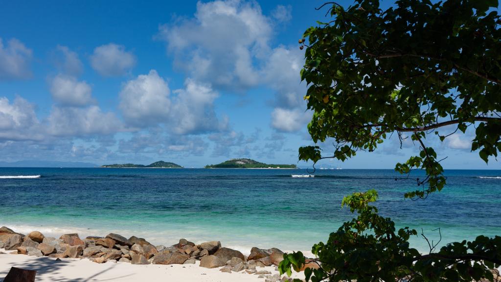 Photo 40: Island Charm of Praslin - Praslin (Seychelles)