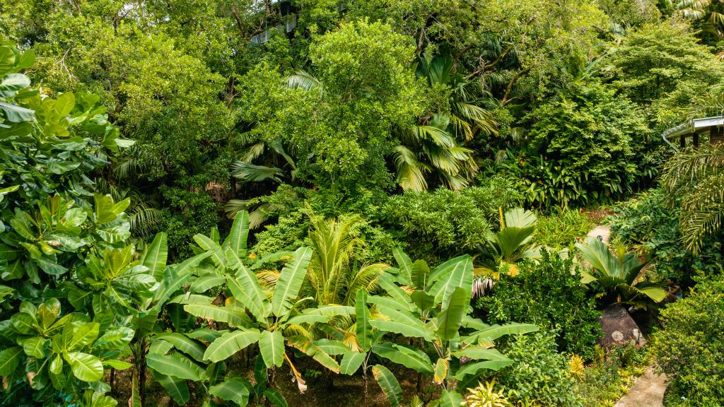 Foto 11: Cashew Nut Grove Chalets - Mahé (Seychelles)