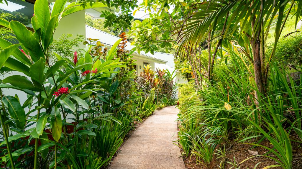 Foto 14: Cashew Nut Grove Chalets - Mahé (Seychelles)