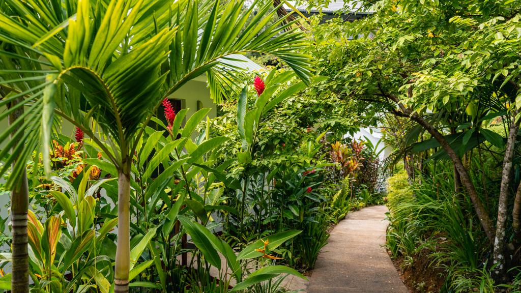 Foto 15: Cashew Nut Grove Chalets - Mahé (Seychellen)